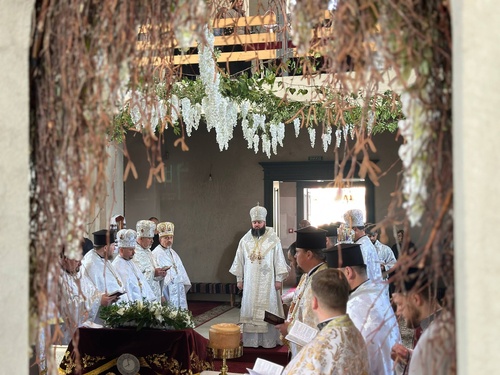 673119004_122315053316210896_3603252112728206271_n_500