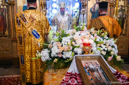 dsc_13491536x1022_500