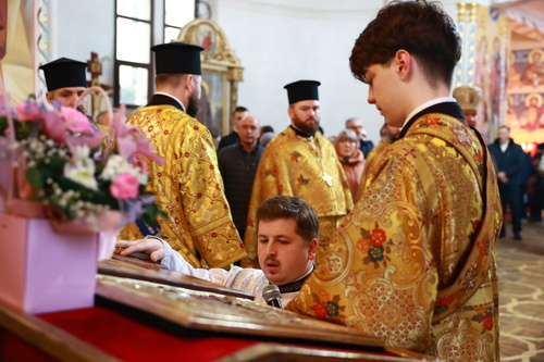 img_525411024x683_500.