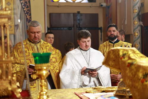 img_54461024x683_500.